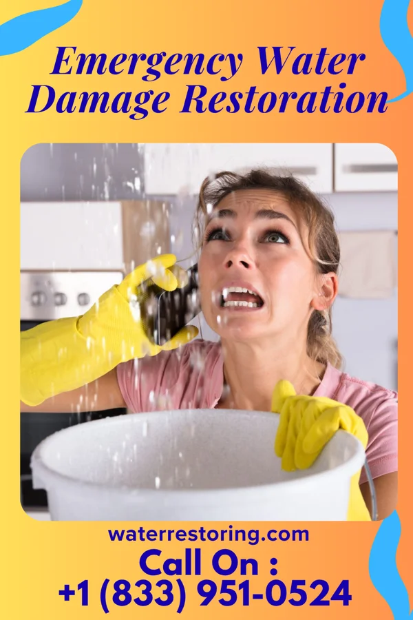 Emergency Water Damage Restoration in Rose Hill, IA