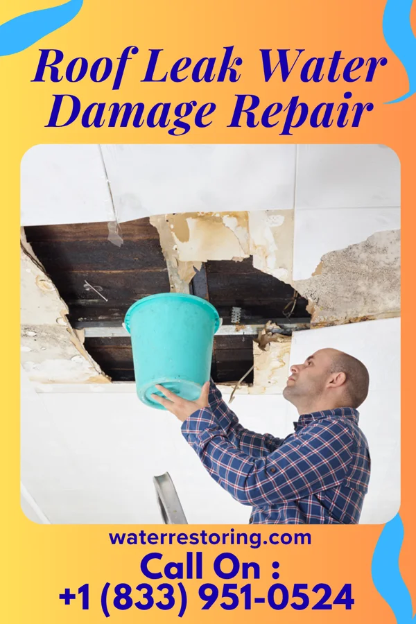 Roof Leak Water Damage Repair in Rose Hill, IA